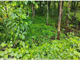 29 cent land for sale Koothattukulam Route