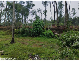 29 cent land for sale Koothattukulam Route