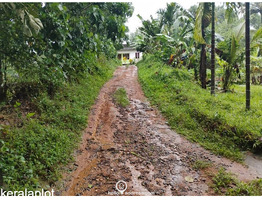 29 cent land for sale Koothattukulam Route
