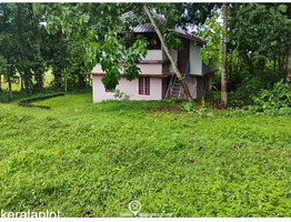 29 cent land for sale Koothattukulam Route