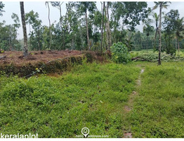 29 cent land for sale Koothattukulam Route