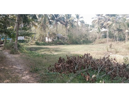 60 Cent land For Sale near Kauvngal