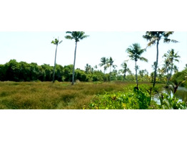 1.13 Acers Land For Sale Andhakaranazhi