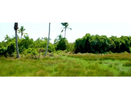 1.13 Acers Land For Sale Andhakaranazhi