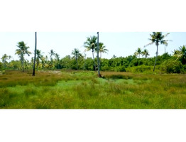1.13 Acers Land For Sale Andhakaranazhi