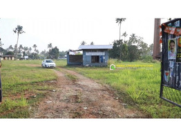 1.35 Acers Land For Sale near by Chengaloor