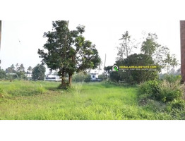1.35 Acers Land For Sale near by Chengaloor