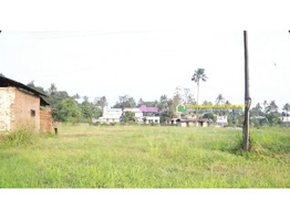 1.35 Acers Land For Sale near by Chengaloor