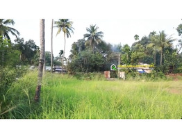 1.35 Acers Land For Sale near by Chengaloor