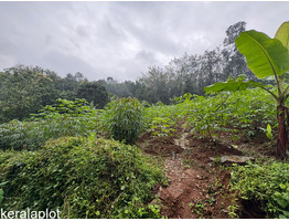 25 cent land for sale near Thodupuzha, Idukki District