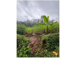 25 cent land for sale near Thodupuzha, Idukki District