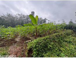 25 cent land for sale near Thodupuzha, Idukki District
