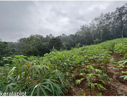 25 cent land for sale near Thodupuzha, Idukki District