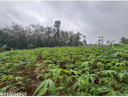 25 cent land for sale near Thodupuzha, Idukki District