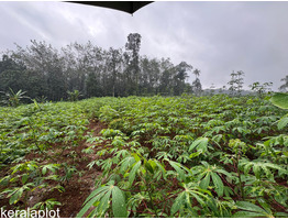 25 cent land for sale near Thodupuzha, Idukki District