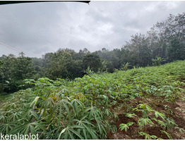25 cent land for sale near Thodupuzha, Idukki District