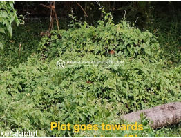 Residential Land for Sale in Vallarpadam, Ernakulam