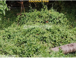 Residential Land for Sale in Vallarpadam, Ernakulam