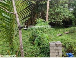 Residential Land for Sale in Vallarpadam, Ernakulam