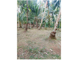 65 cent land for sale kannur