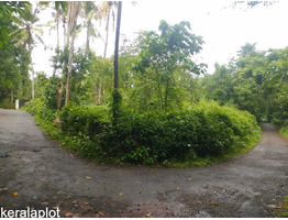 80 cents land for sale