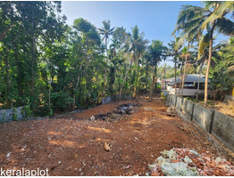 20 cents land for sale at Nalanchira