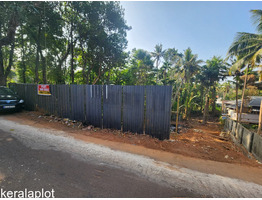 20 cents land for sale at Nalanchira