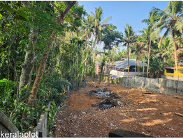 20 cents land for sale at Nalanchira