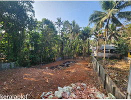 20 cents land for sale at Nalanchira