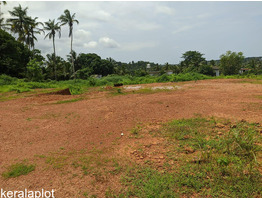 52 cent land For sale kannur District