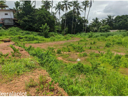 52 cent land For sale kannur District