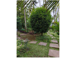 50 Cent Land With House For Sale