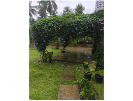 50 Cent Land With House For Sale