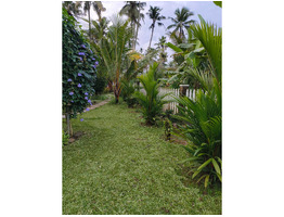 50 Cent Land With House For Sale