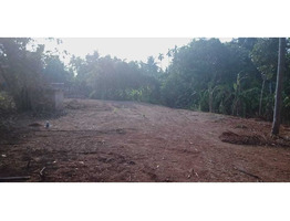 130.25 cents of Ancestral land for sale in Irinjalakuda