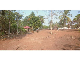 130.25 cents of Ancestral land for sale in Irinjalakuda