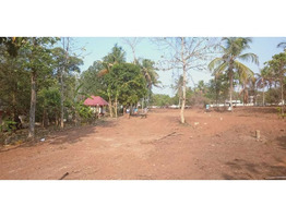 130.25 cents of Ancestral land for sale in Irinjalakuda