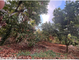 20 Cents land For Sale Ponkunnam, Koorali