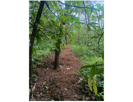 2.81 Acre Agricultural Land For Sale kottiyoor, Kannur District
