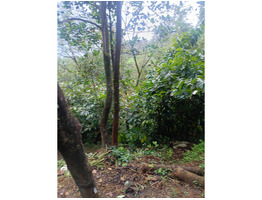 2.81 Acre Agricultural Land For Sale kottiyoor, Kannur District