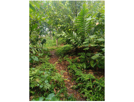 2.81 Acre Agricultural Land For Sale kottiyoor, Kannur District