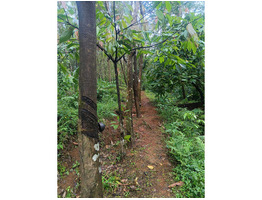 2.81 Acre Agricultural Land For Sale kottiyoor, Kannur District