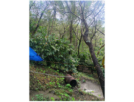 2.81 Acre Agricultural Land For Sale kottiyoor, Kannur District