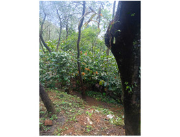 2.81 Acre Agricultural Land For Sale kottiyoor, Kannur District
