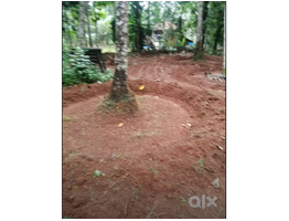 26 cent square plot For Sale Kozhikode