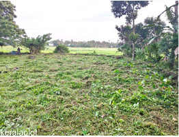 23 Cent land For sale Aluva, West Kadungallor