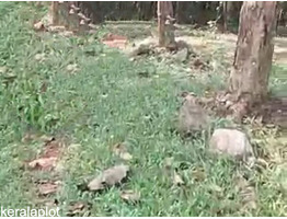 30 cent land for sale Ollipuram