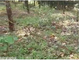 30 cent land for sale Ollipuram