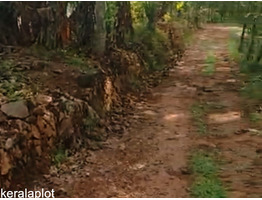 30 cent land for sale Ollipuram