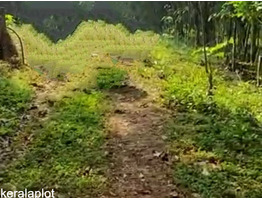30 cent land for sale Ollipuram